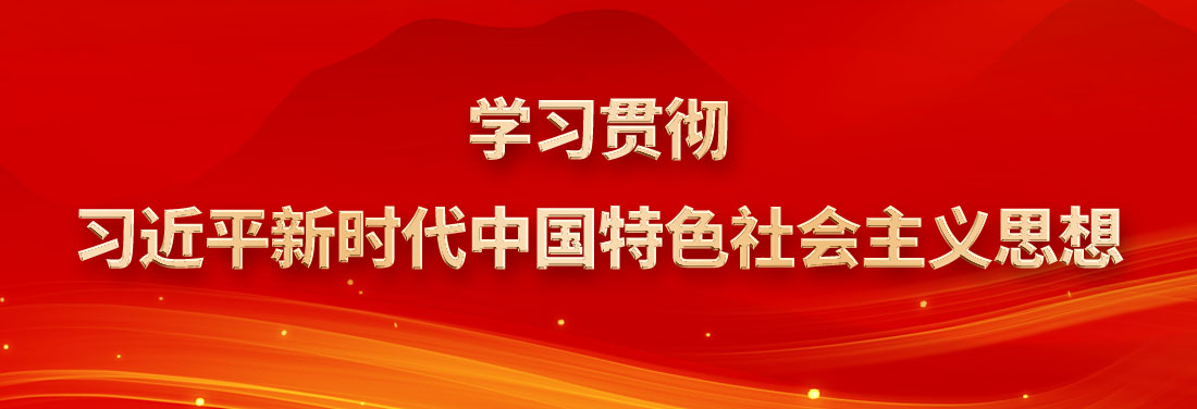 学习贯彻习近平新时代中国特色社会主义思想