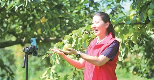 年轻干部直播助农增收